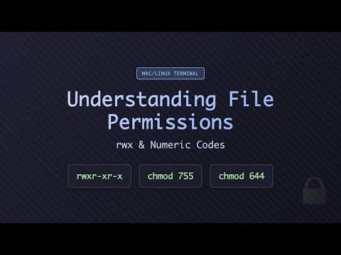 Understanding File Permissions | rwx & chmod | Mac/Linux Terminal
