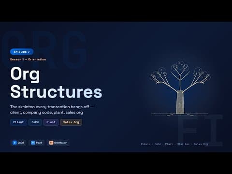 SAP Concepts: Org Structures in SAP: Client, Company Code, Plant, Sales Org (S/4HANA Hierarchy)